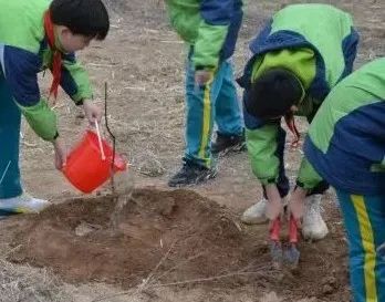 临汾市第一小学丨能在这里上学，就是赢在了起跑线！